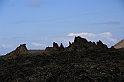 Kanary_2010 071